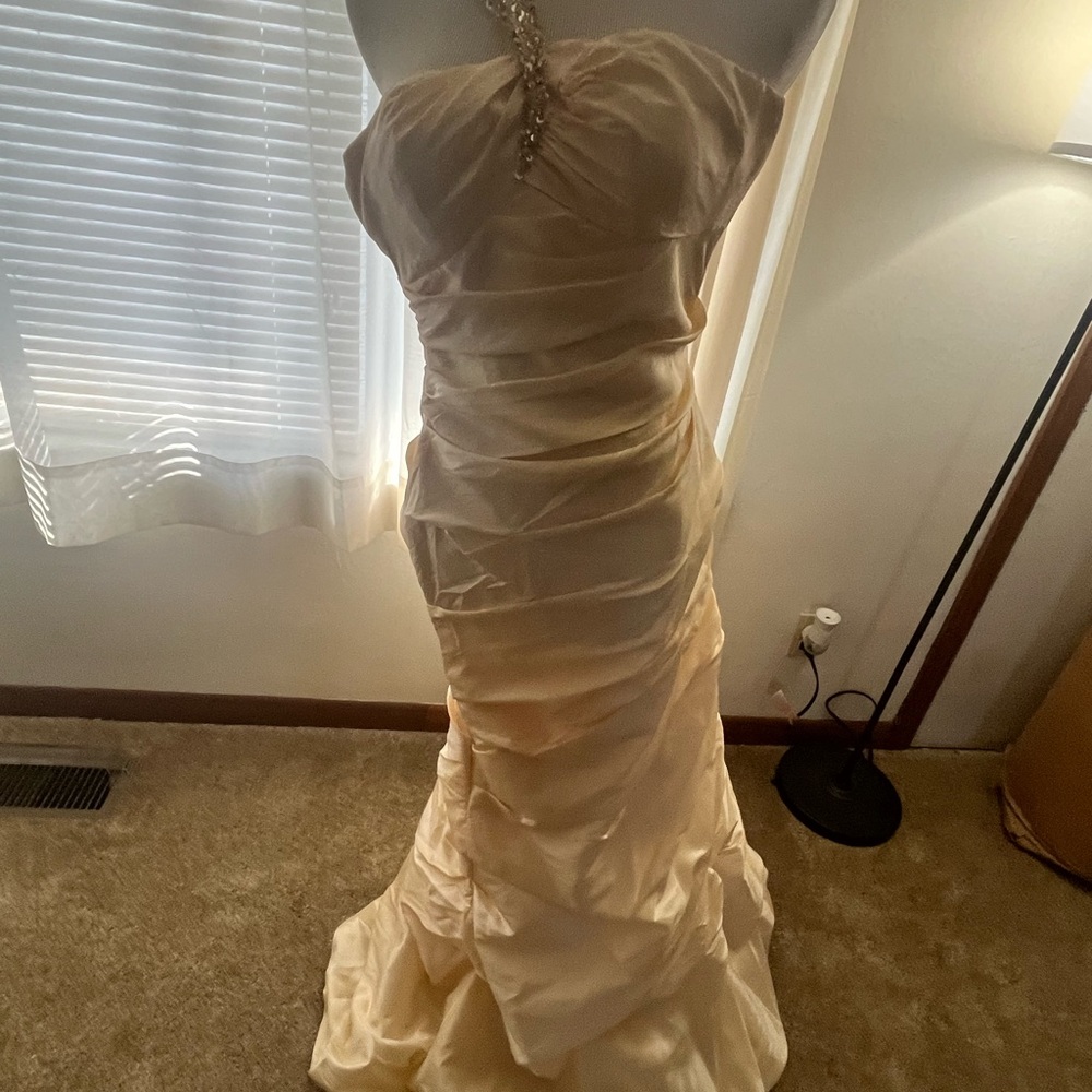 Elegant Cream Strapless David's bridal gown - Picture 2 of 8